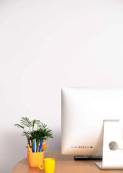 wordpress-CCV-lifestyle-2022-design-elements wordpress-CCV-lifestyle-2022-design-elements